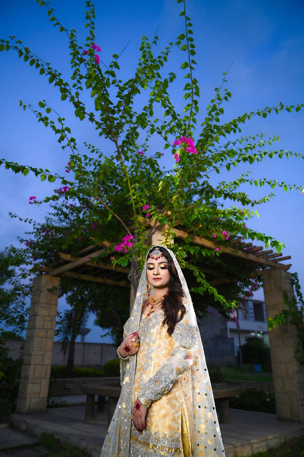 Golden Nikkah